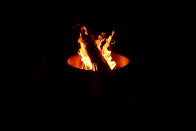 DSC_9879 (Large).JPG